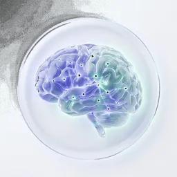 Mental Health & Neuroscience
