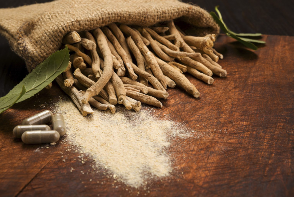 Large Clinical Trial Finds Standardized Ashwagandha Extract Well Tolerated Over 24 Weeks