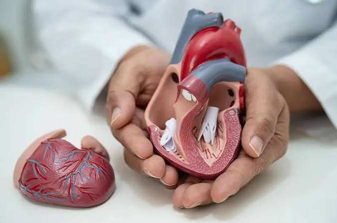 New Questions Raised Over Hospital Rules for Transcatheter Aortic Valve Replacement